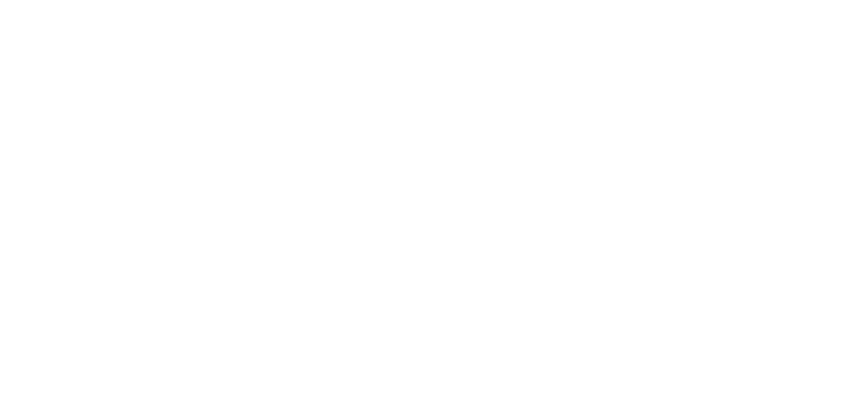 Emergent Ventures